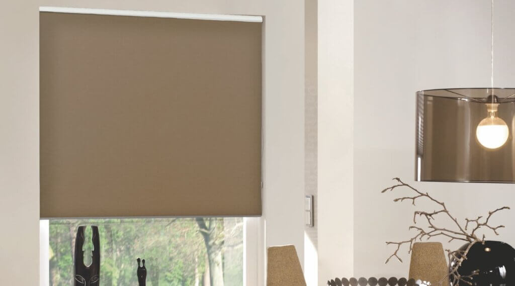 Roller Shades for Windows