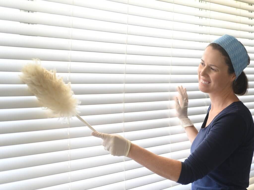 dusting window shade