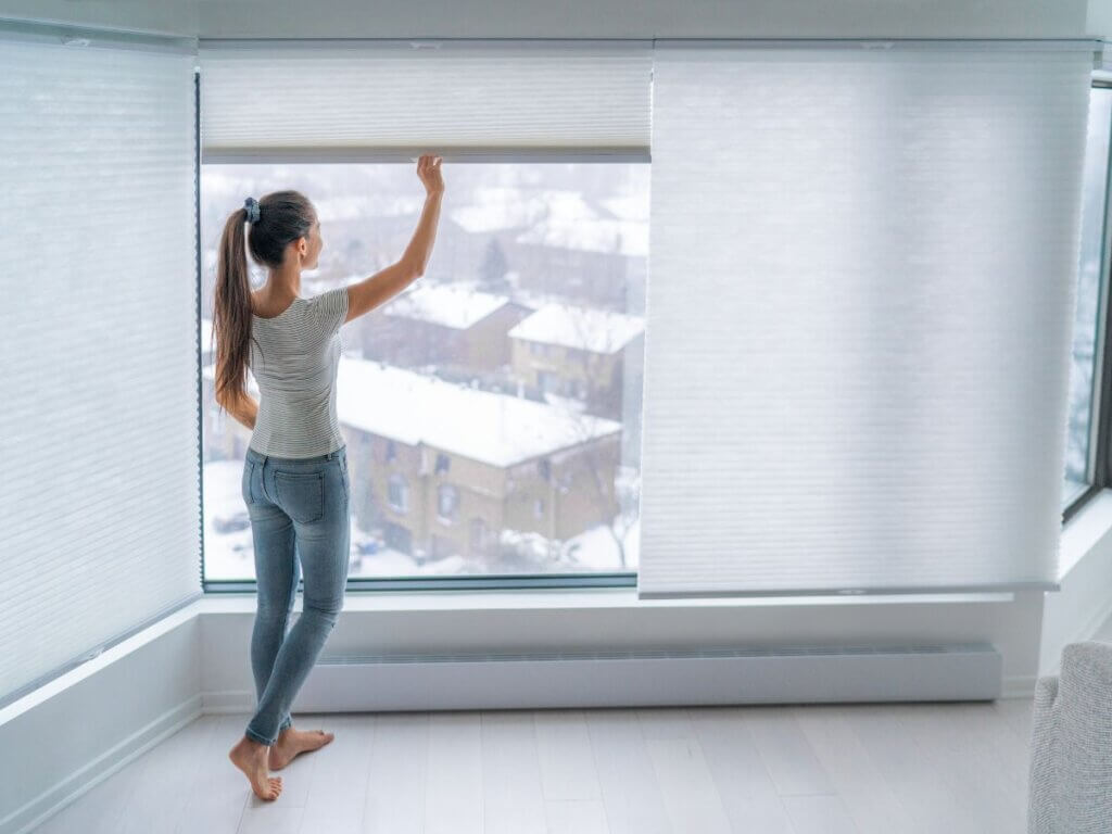 Honeycomb Shades