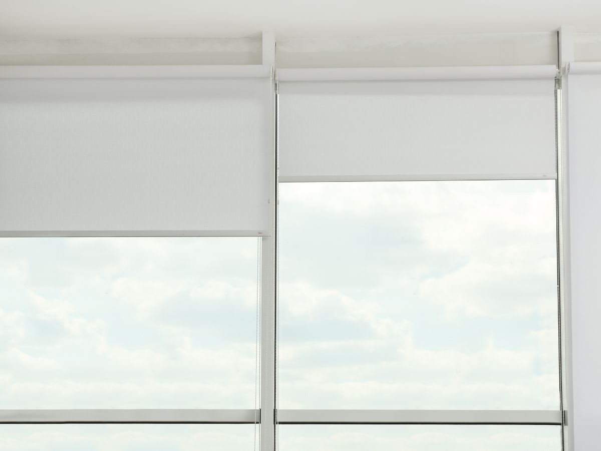 Vibrant Roller Shades for Interior Brightening